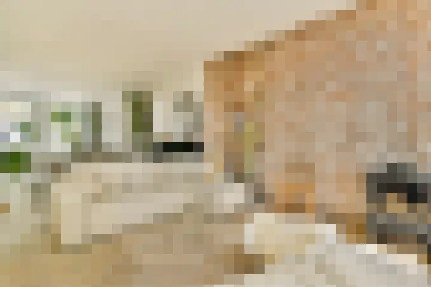 Barentszplein 3 H Amsterdam thumbnail 7