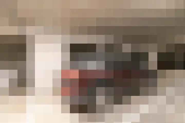 Barentszplein 6 R Amsterdam thumbnail 31