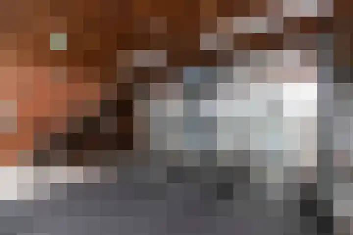Barentszplein 6 R Amsterdam thumbnail 34