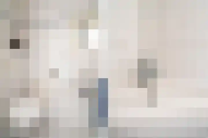 Barentszrede 15 Zoetermeer thumbnail 10