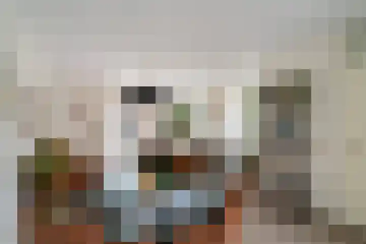 Barentszrede 15 Zoetermeer thumbnail 12