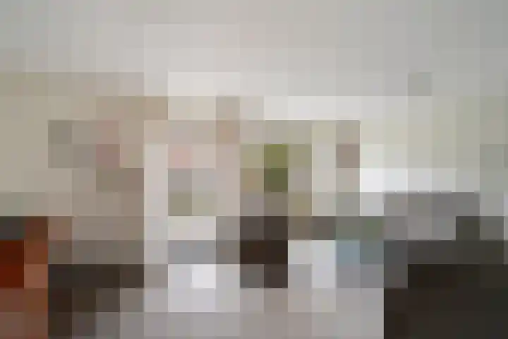 Barentszrede 15 Zoetermeer thumbnail 13