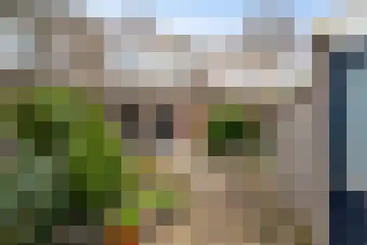 Barentszrede 15 Zoetermeer thumbnail 16