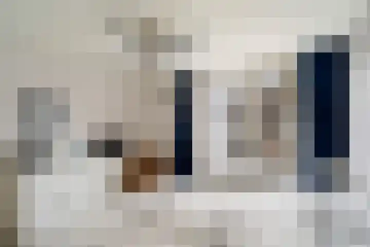 Barentszrede 15 Zoetermeer thumbnail 29