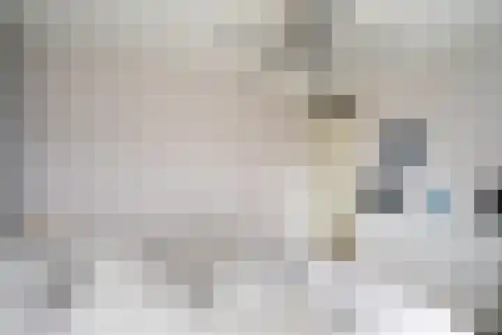 Barentszrede 15 Zoetermeer thumbnail 30