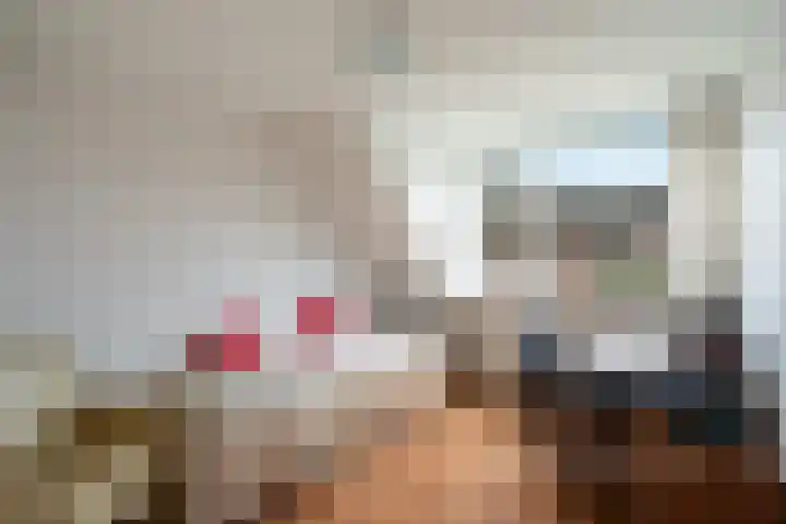 Barentszrede 15 Zoetermeer thumbnail 31