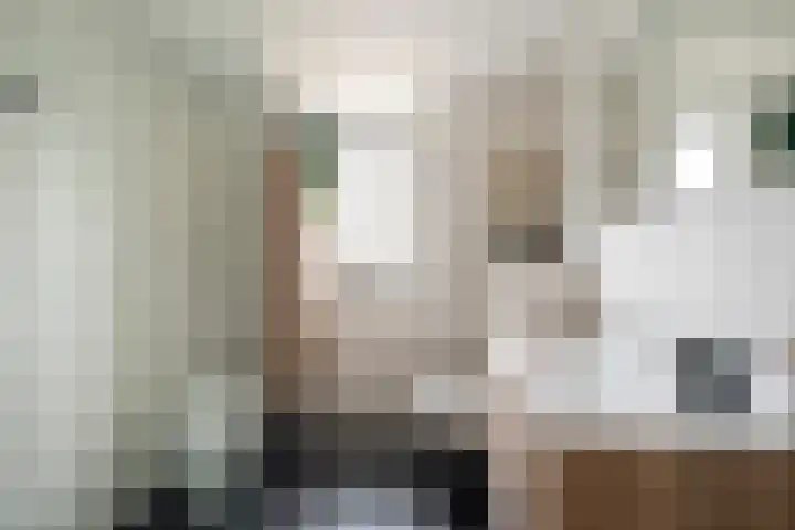 Barentszrede 15 Zoetermeer thumbnail 35