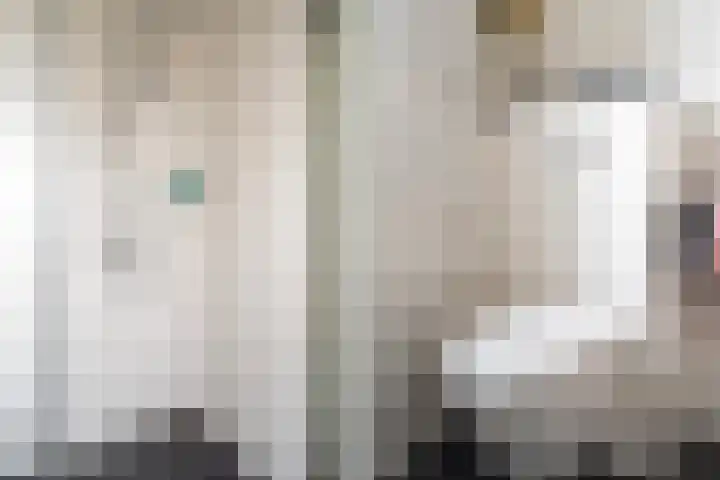 Barentszrede 15 Zoetermeer thumbnail 36