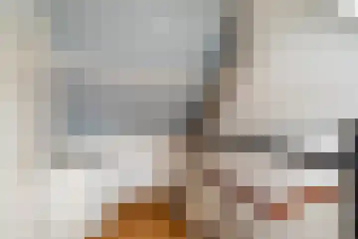 Barentszrede 15 Zoetermeer thumbnail 38