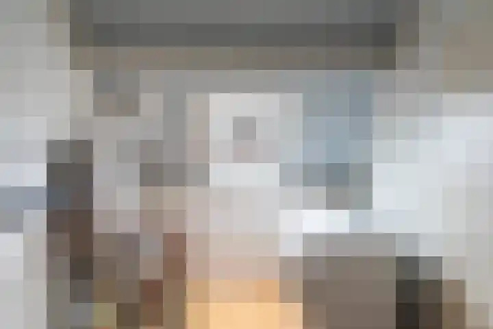 Barentszrede 15 Zoetermeer thumbnail 39