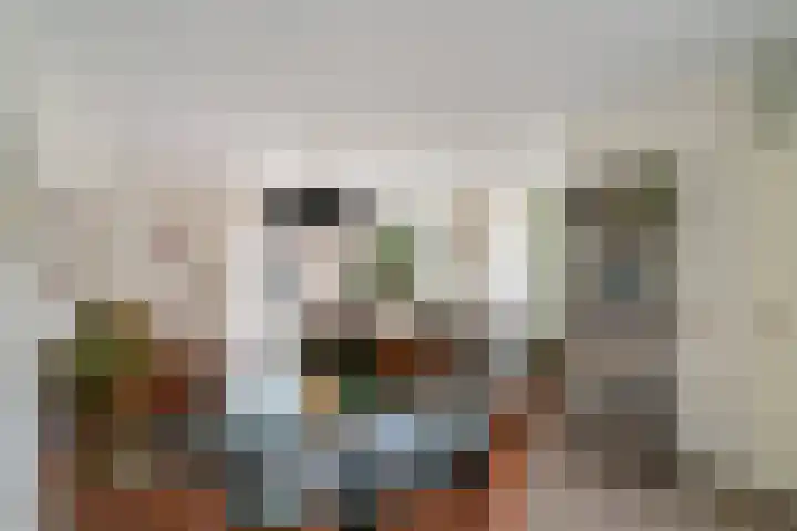 Barentszrede 15 Zoetermeer thumbnail 4
