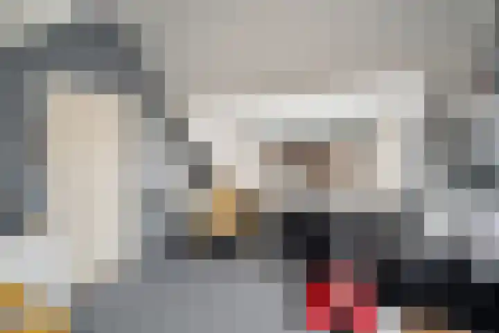 Barentszrede 15 Zoetermeer thumbnail 40