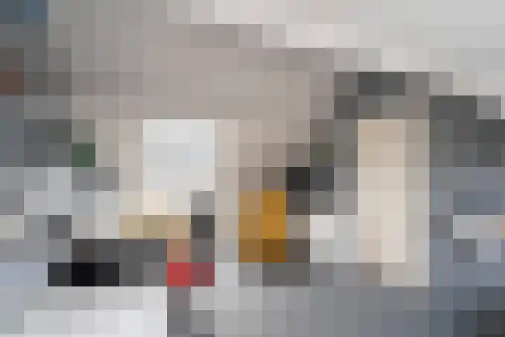 Barentszrede 15 Zoetermeer thumbnail 41