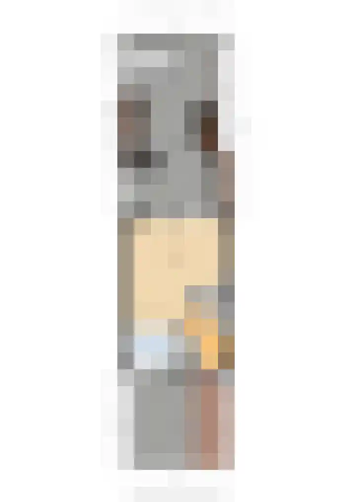 Barentszrede 15 Zoetermeer thumbnail 47