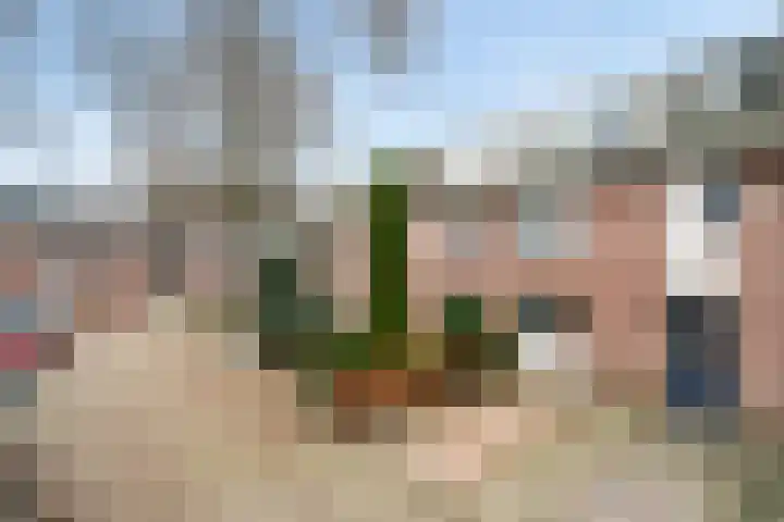 Barentszrede 15 Zoetermeer thumbnail 7