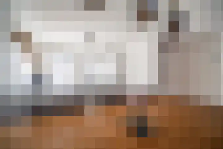 Barentszrede 21 Zoetermeer thumbnail 14