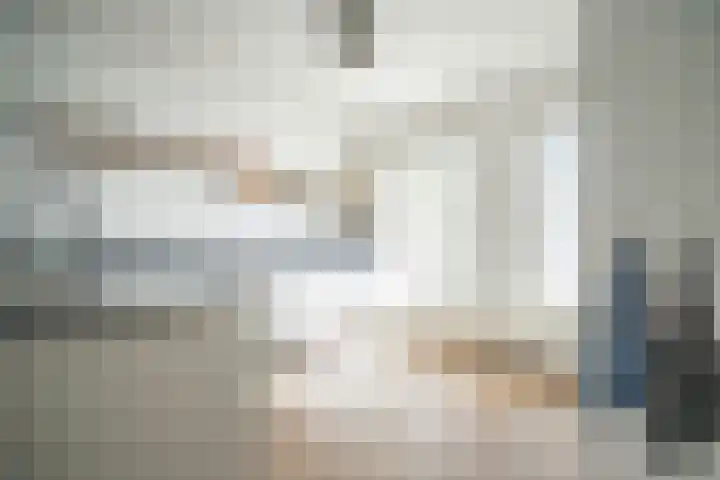 Barentszrede 21 Zoetermeer thumbnail 15