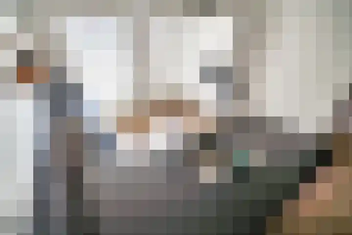 Barentszrede 21 Zoetermeer thumbnail 16