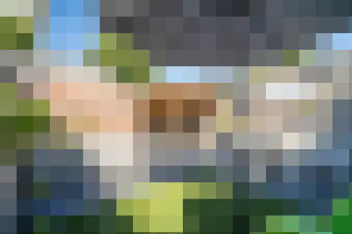 Barentszrede 21 Zoetermeer thumbnail 19