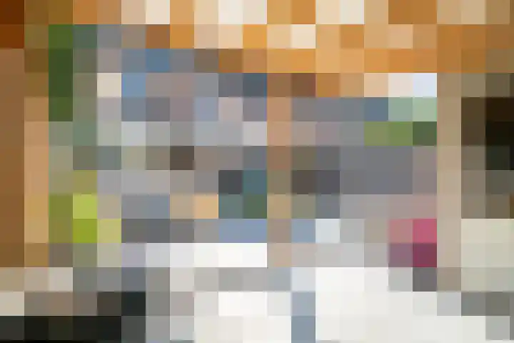 Barentszrede 21 Zoetermeer thumbnail 20