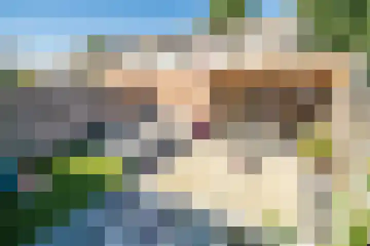 Barentszrede 21 Zoetermeer thumbnail 21