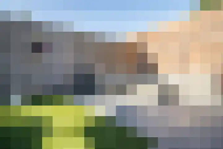 Barentszrede 21 Zoetermeer thumbnail 25