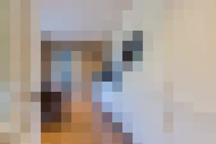 Barentszrede 21 Zoetermeer thumbnail 27