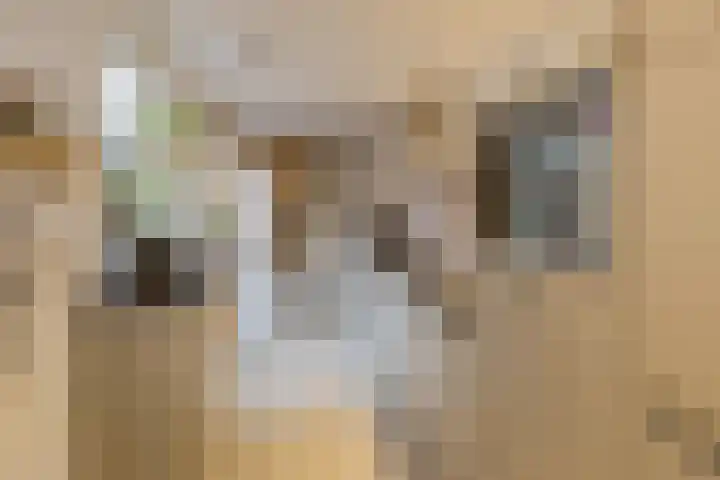 Barentszrede 21 Zoetermeer thumbnail 29