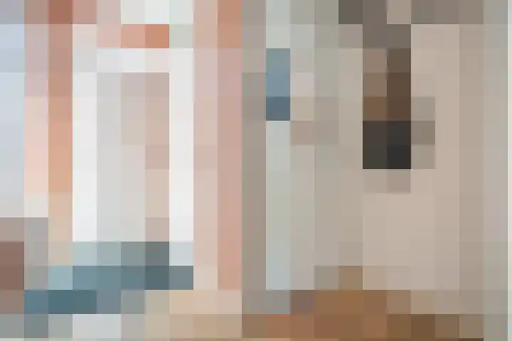 Barentszrede 21 Zoetermeer thumbnail 29