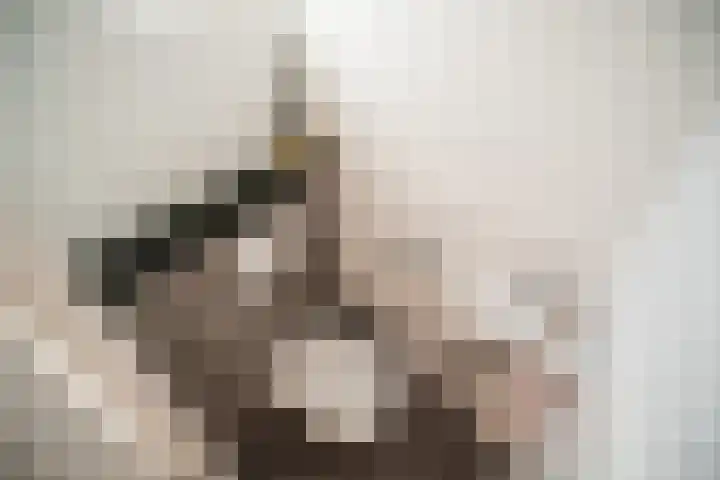 Barentszrede 21 Zoetermeer thumbnail 30