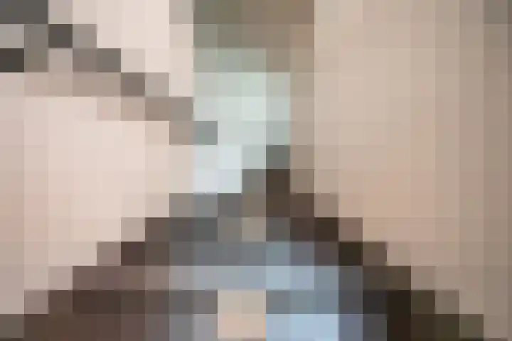 Barentszrede 21 Zoetermeer thumbnail 31