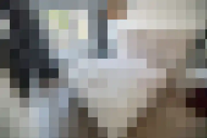 Barentszrede 21 Zoetermeer thumbnail 32