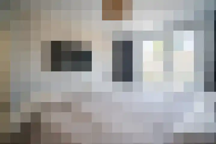 Barentszrede 21 Zoetermeer thumbnail 33
