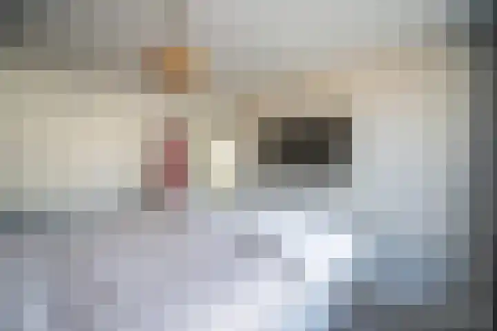 Barentszrede 21 Zoetermeer thumbnail 34