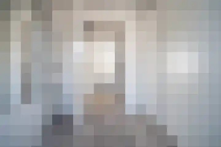 Barentszrede 21 Zoetermeer thumbnail 36