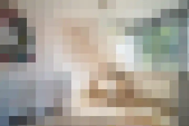 Barentszrede 21 Zoetermeer thumbnail 37
