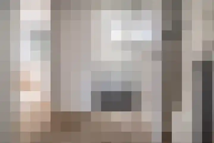 Barentszrede 21 Zoetermeer thumbnail 39