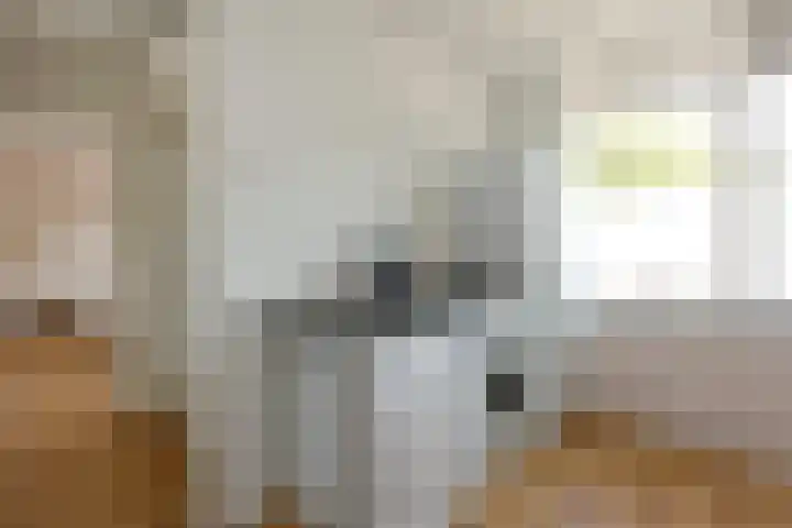 Barentszrede 21 Zoetermeer thumbnail 4