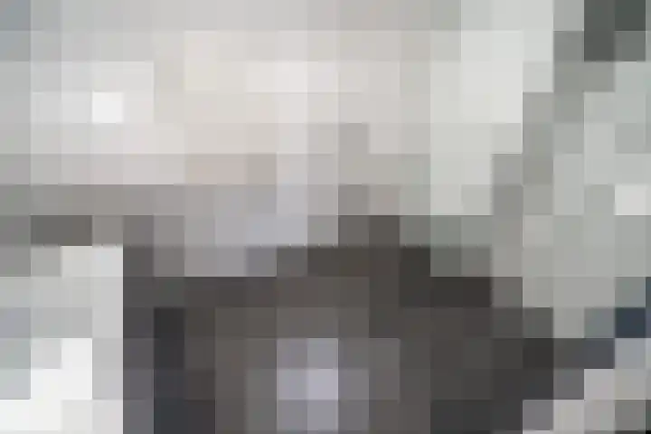 Barentszrede 21 Zoetermeer thumbnail 40