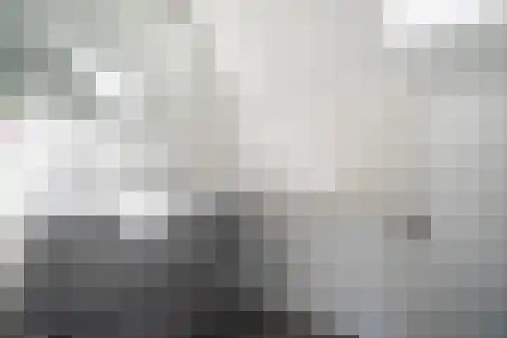 Barentszrede 21 Zoetermeer thumbnail 41