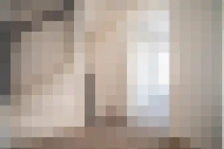 Barentszrede 21 Zoetermeer thumbnail 43