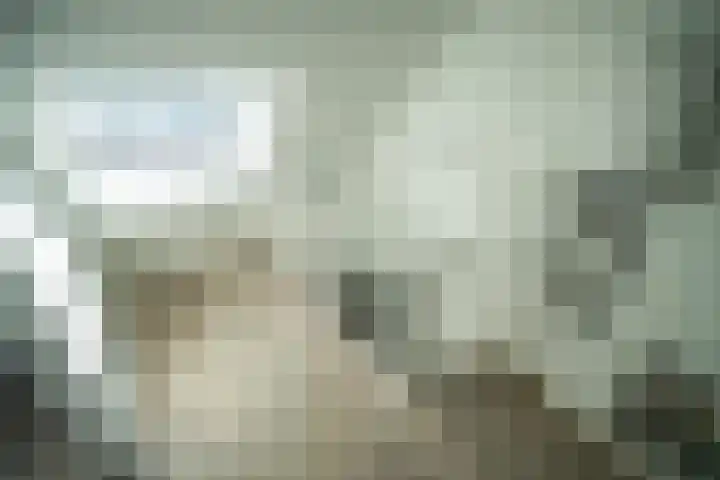 Barentszrede 21 Zoetermeer thumbnail 44