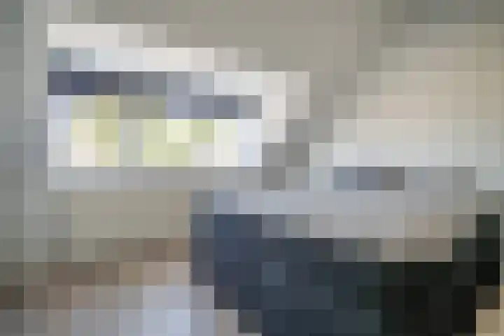 Barentszrede 21 Zoetermeer thumbnail 45