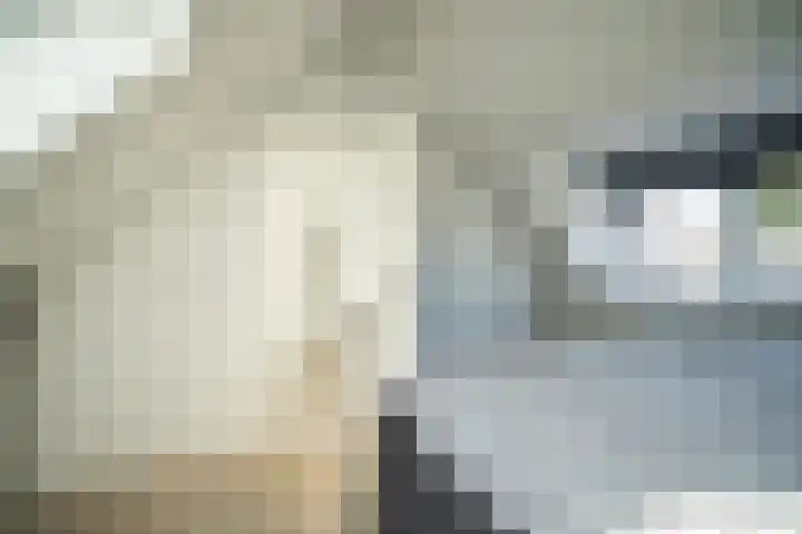 Barentszrede 21 Zoetermeer thumbnail 46