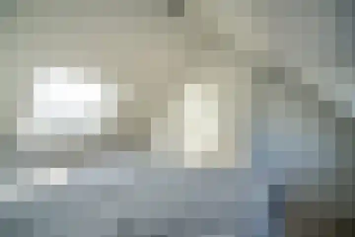 Barentszrede 21 Zoetermeer thumbnail 47