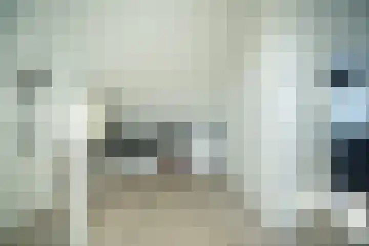 Barentszrede 21 Zoetermeer thumbnail 48