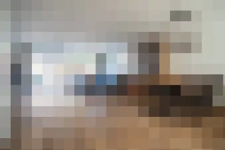 Barentszrede 21 Zoetermeer thumbnail 5