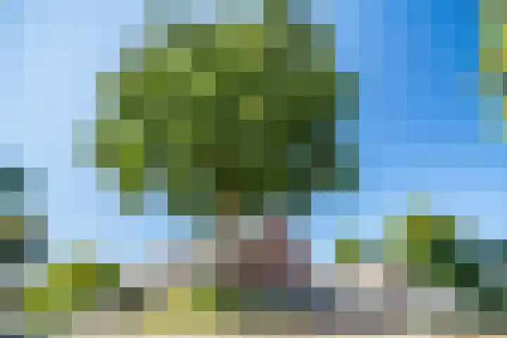 Barentszrede 21 Zoetermeer thumbnail 53