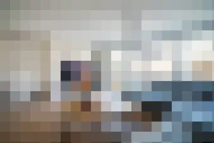 Barentszrede 21 Zoetermeer thumbnail 6
