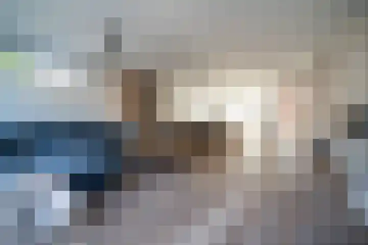 Barentszrede 21 Zoetermeer thumbnail 7